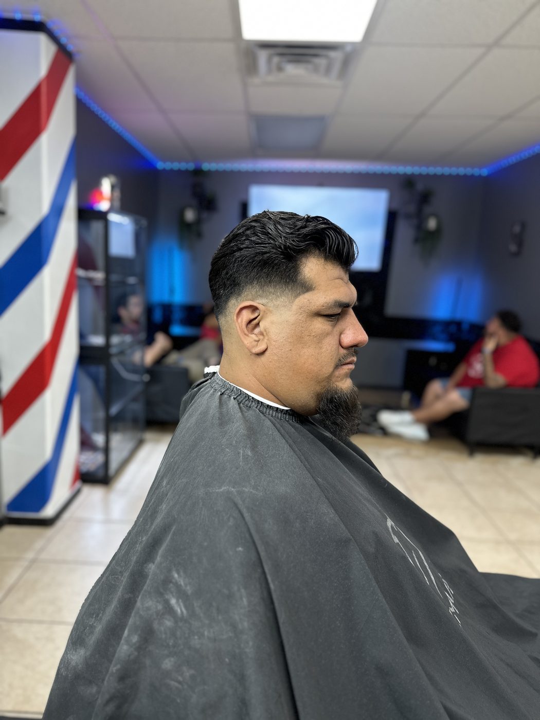 Skin fade with full beard — profile